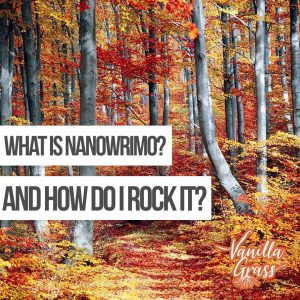 what is nanowrimo